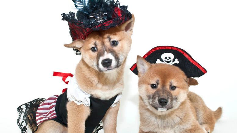 Dogecoin Merchants Invited to Join Bitcoin Black Friday