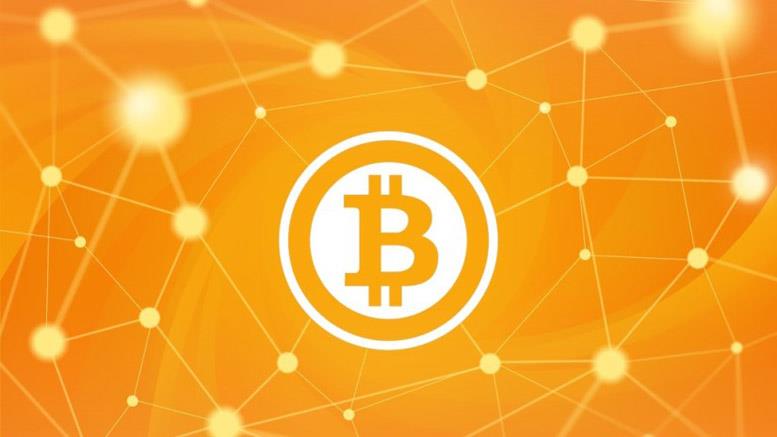 Poll Review: How Important is the Price of Bitcoin?