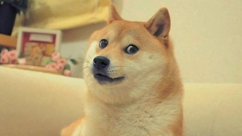 Apparently You Can Now Tip Dogecoin on Facebook