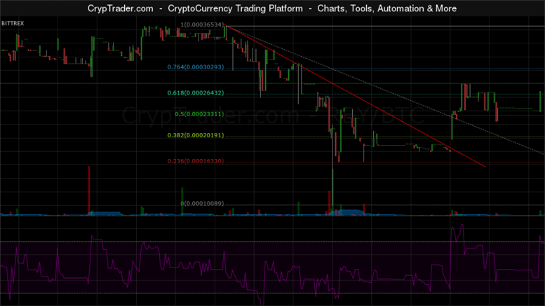 Rubycoin Weekly Price Analysis - Retest of Highs