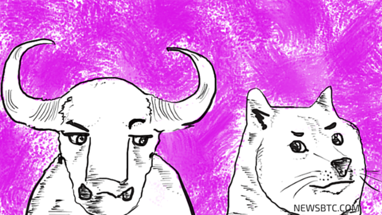 Dogecoin Price Technical Analysis - Bullish Divergence Showing Up?
