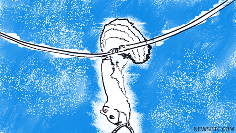 Neucoin Price Technical Analysis for 14/12/2015 - Watch This Channel!