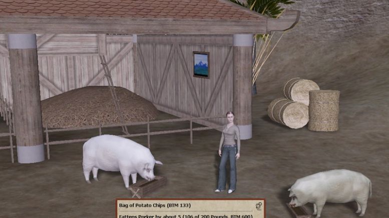 Dragons.tl: Make a Meal for Pigs and Earn Bitcoin