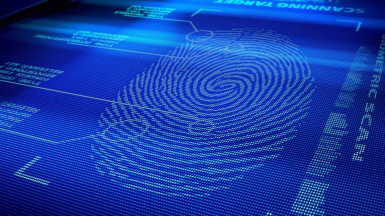 Russian Payments Firm Trials Bitcoin Tool for Customer Verification