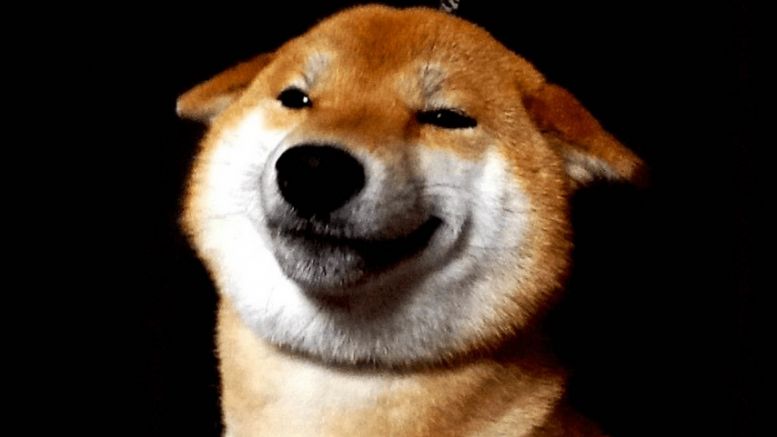 This Week In Dogecoin: What You Missed