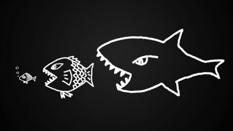 Kraken Buys Coinsetter and Cavirtex, Enters the US & Canadian Markets