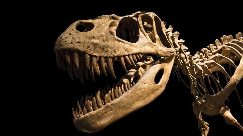 Bitcoin Faces Extinction Without Core Development Competition