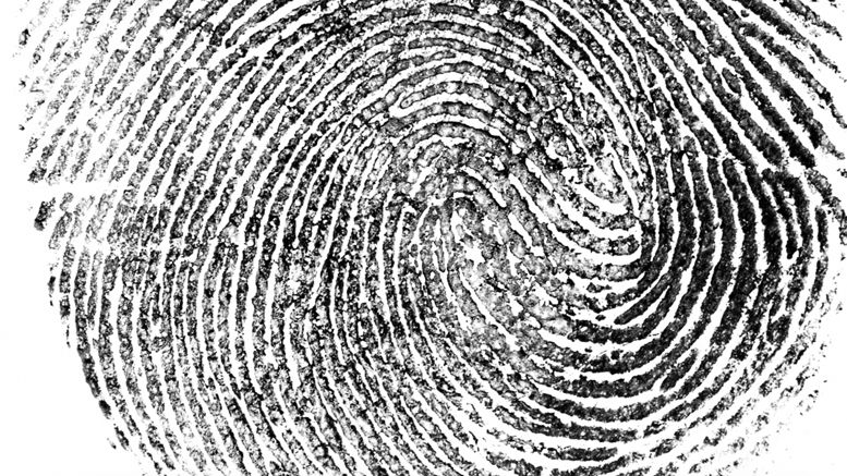 Why Fragmentation Threatens the Promise of Blockchain Identity