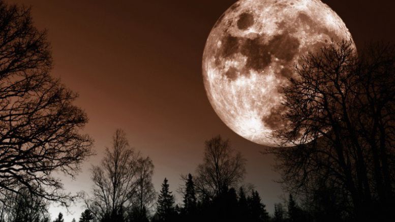 Bitcoin Price Ranging In Coyote Country