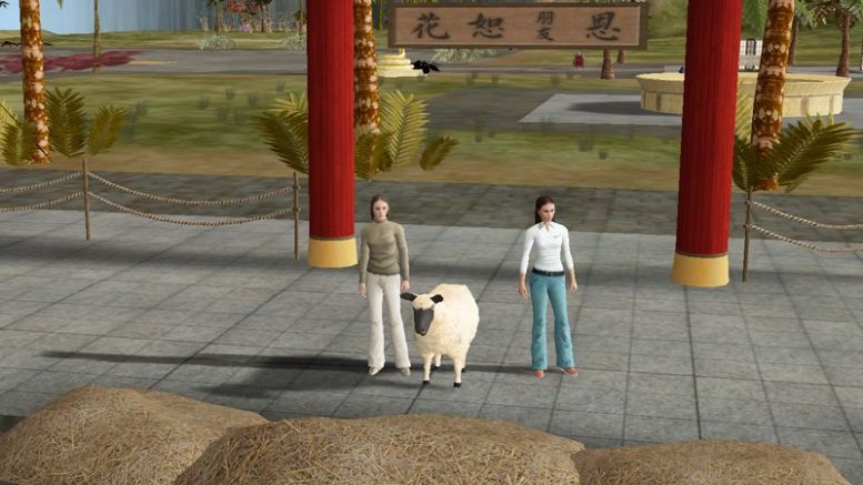 Dragons.tl Presents Tug Desk, A Combat Game Featuring Sheep and Dynamite