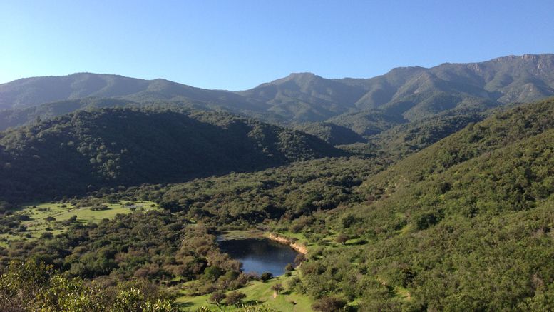 Galt’s Gulch Chile Announces Partnership With Bitcoinschile