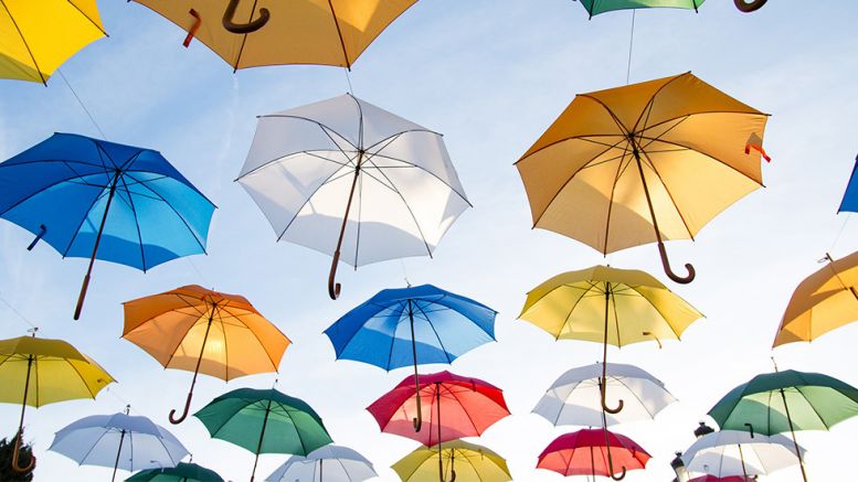 Teambrella Wants to Revolutionize Insurance Coverage With Peer-To-Peer Bitcoin Payments