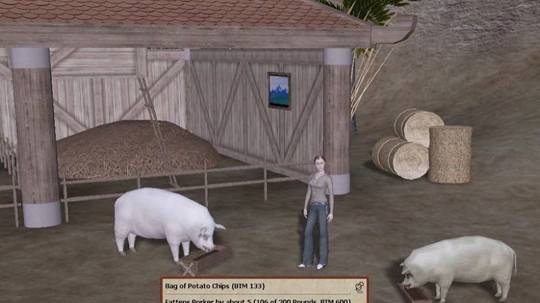 Dragon’s Tale – Feed the Pigs, Stuff them and get rewards