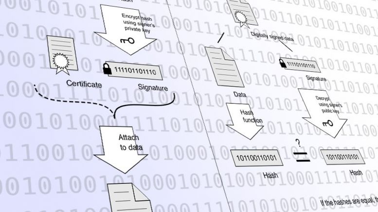 Seven Questions to Make Sense of Craig Wright's Signature Proofs