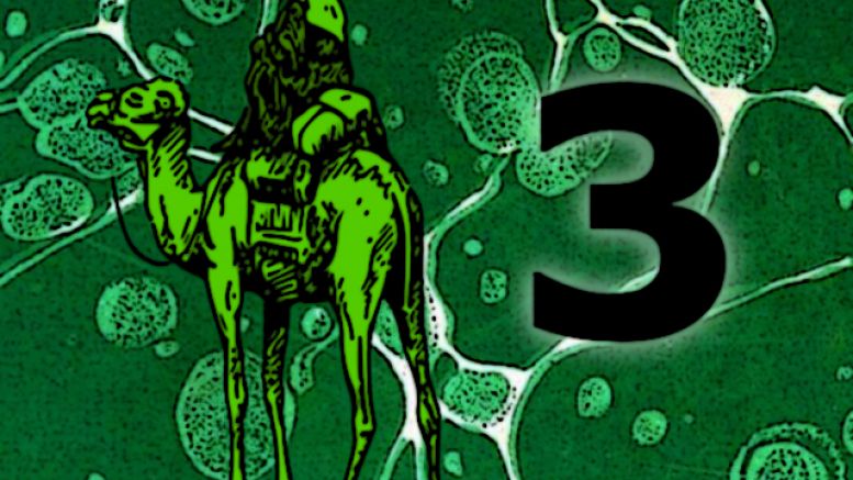 Silk Road 3.0 – Reincarnation of the Bitcoin Deep Web Marketplace