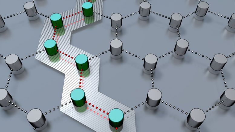Bitcoin Exchange CCEDK Relaunches as Decentralized Conglomerate