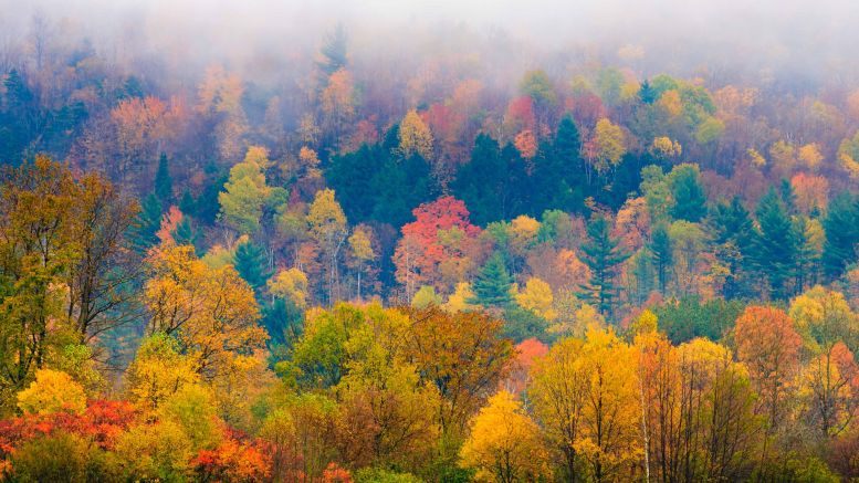 Vermont Says Blockchain Record-Keeping System Too Costly