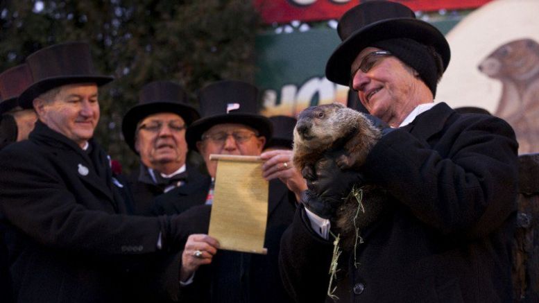 Bitcoin Price Analysis: Groundhog Day