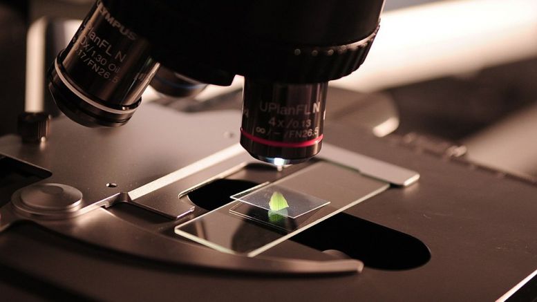 From Bench to Bedside: Enabling Reproducible Commercial Science via Blockchain