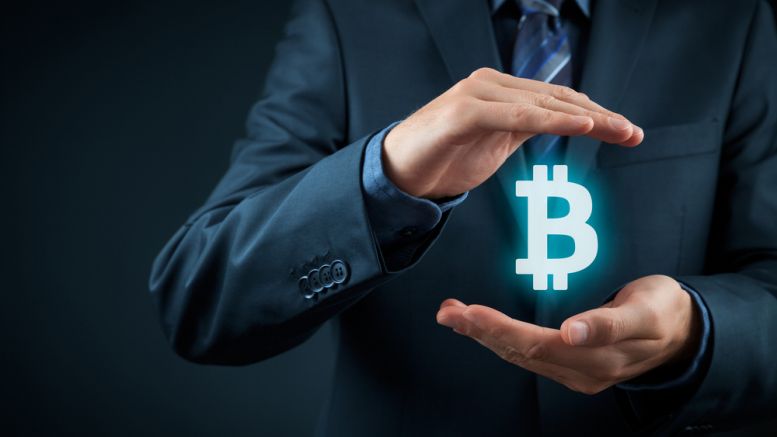 Portfolio Manager High On Cash, Suggests Bitcoin For Diversification
