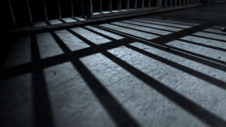 Silk Road 2.0 Admin Gets an 8-Year Prison Sentence