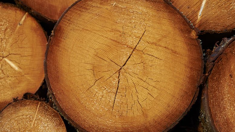 Ethereum’s Solidity Flaw Exploited in DAO Attack Says Cornell Researcher