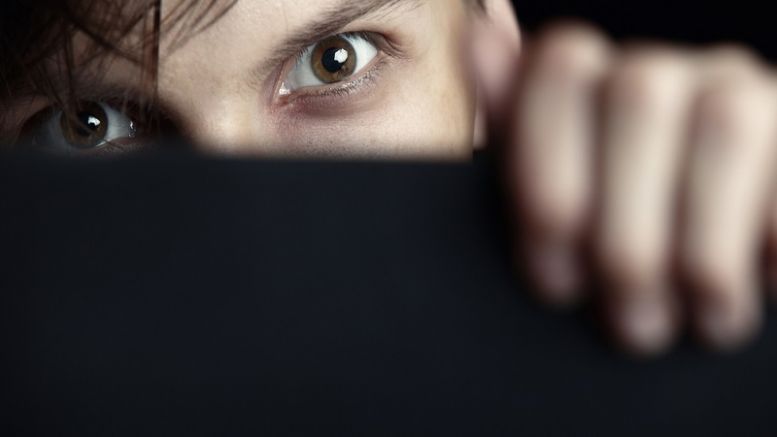Seafile Drops PayPal After Refusing to Spy On Users