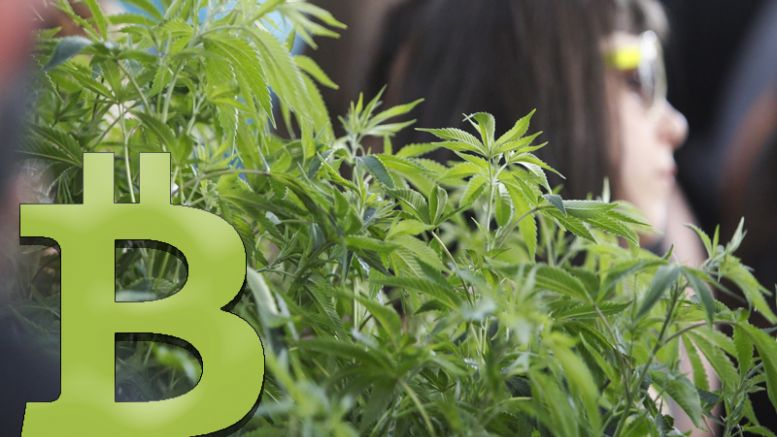 Cannabis Entrepreneurs Should Use Bitcoin as Legalization Grows
