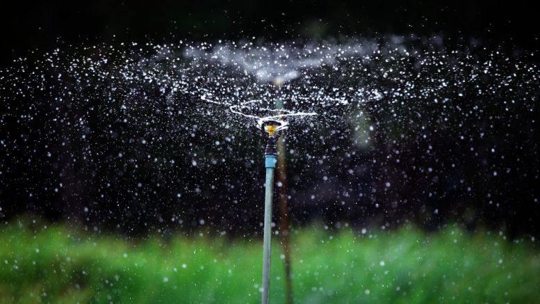 Bitcoin Price Pop And Fizzle