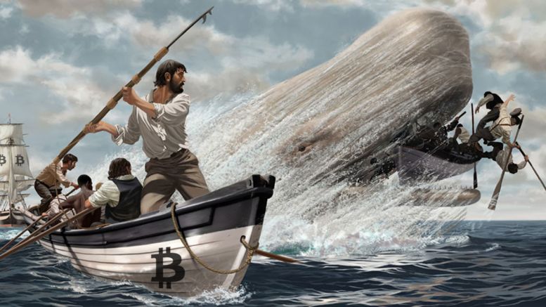 Bitcoin ‘Whales’ Vote in Favor of Larger Tx Blocks