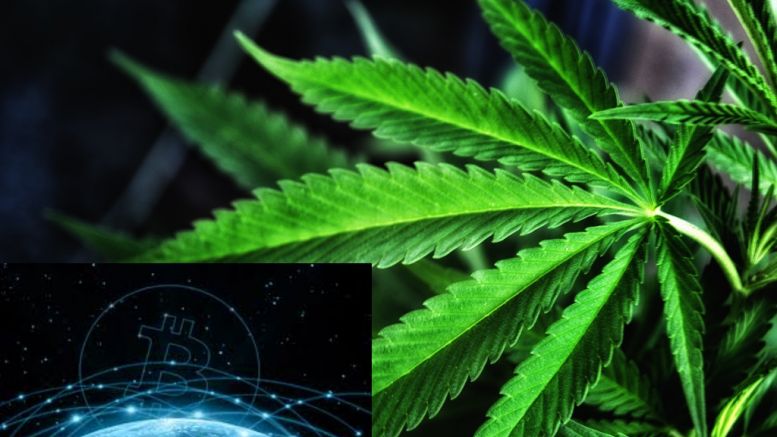 Crypto Cannabis Conference 2016 to Examine Bitcoin, Legalization