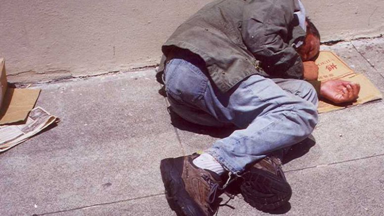 Satoshi Forest Homeless Outreach Program Threatened by Judge