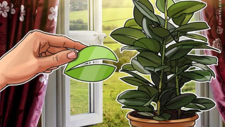 Bitfinex May Spread the Loss of US$70 Million Among Users; Repay?