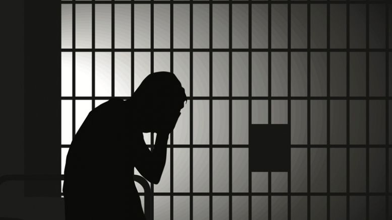 Alleged Silk Road Operator ‘Roped Into’ U.S. Extradition