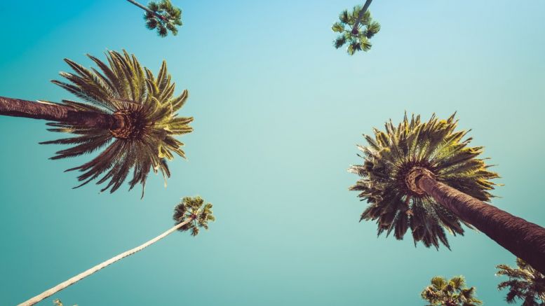 California Lawmaker Shelves Bitcoin Legislation