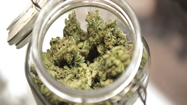 Trees Joins Growing Alt-Payments Industry for Medical Marijuana