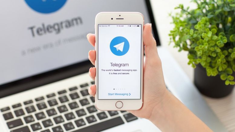 Octopocket: Where Bitcoin Meets Telegram