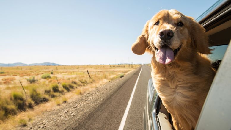 Bitcoin Price: Happy Days Are Here Again