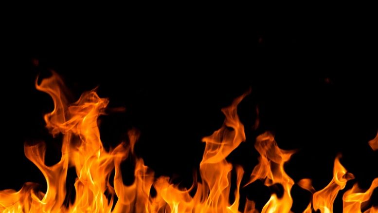Synereo Destroys Half its AMP Tokens Ahead of Crowdsale
