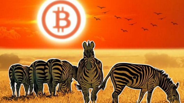 Tens of Thousands of Merchants Accept Bitcoin in South Africa as Government is Friendly