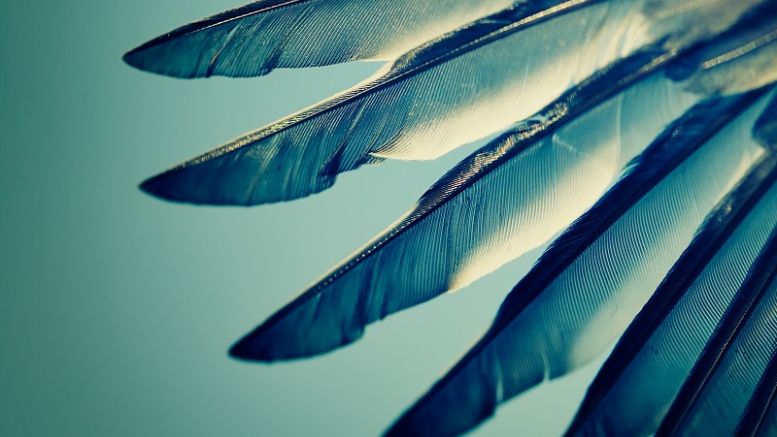 WINGS: The New DAO on the Block Says it Won’t Fail Like Slock.it