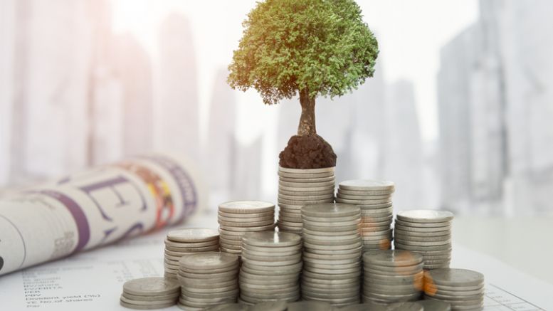 ICO Fever: How Crowdsales Are Taking Over Cryptocurrency