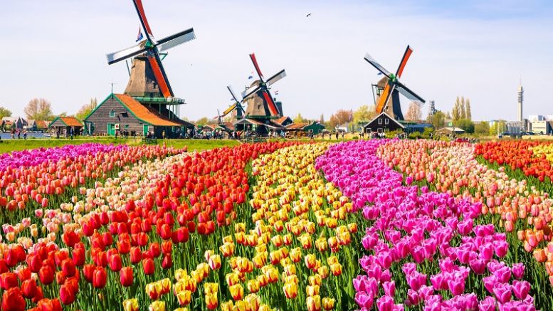Dutch Real Estate Firm ‘Blandlord’ to Sell Property With Bitcoin Blockchain