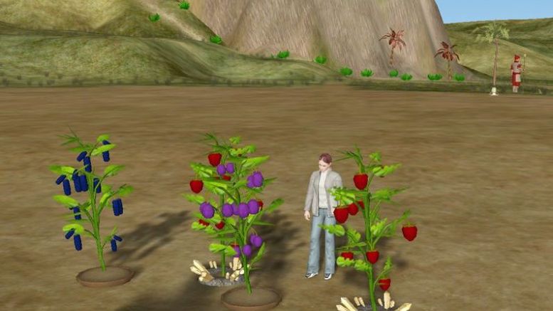 Visit Dragon’s Tale and Grow some Berries to earn Bitcoin
