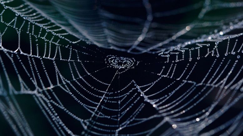 Bitcoin Has a New Top Dark Market