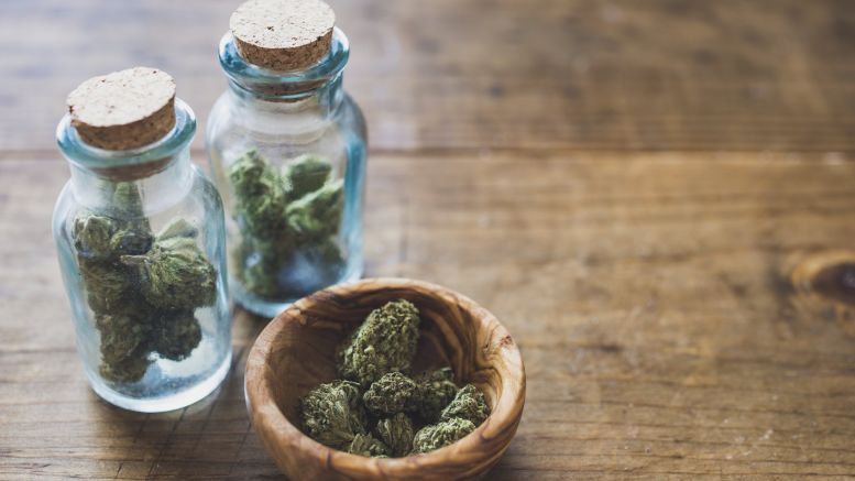 This Company Uses Bitcoin Blockchain For Medical Marijuana DNA Sequencing