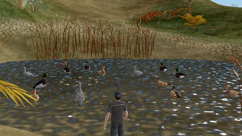 Dragon’s Tale – Feed the Ducks and Get Rewarded