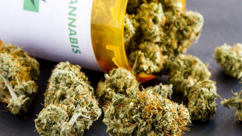 ‘First Sanctioned’ Bitcoin POS Tools for Cannabis Hit Cali, Oregon