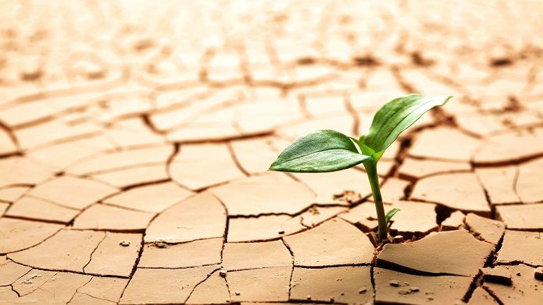 Blockchain Capital Dries Up as Big FinTech Deals Decline