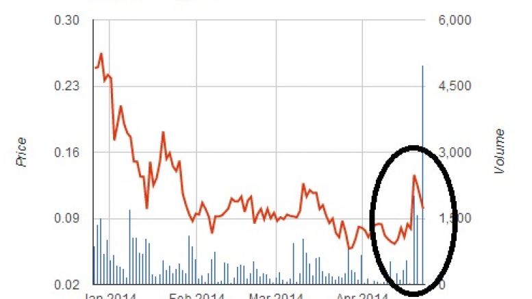 Maidsafe Embroiled In Safecoin Presale Mastercoin Pump And Dump
